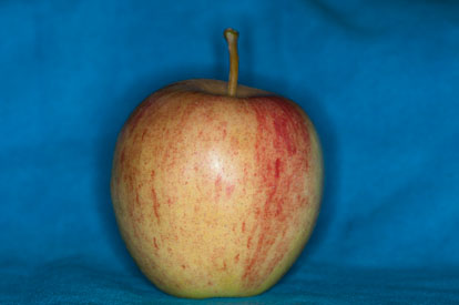 Sunpak GX8R photo of apple